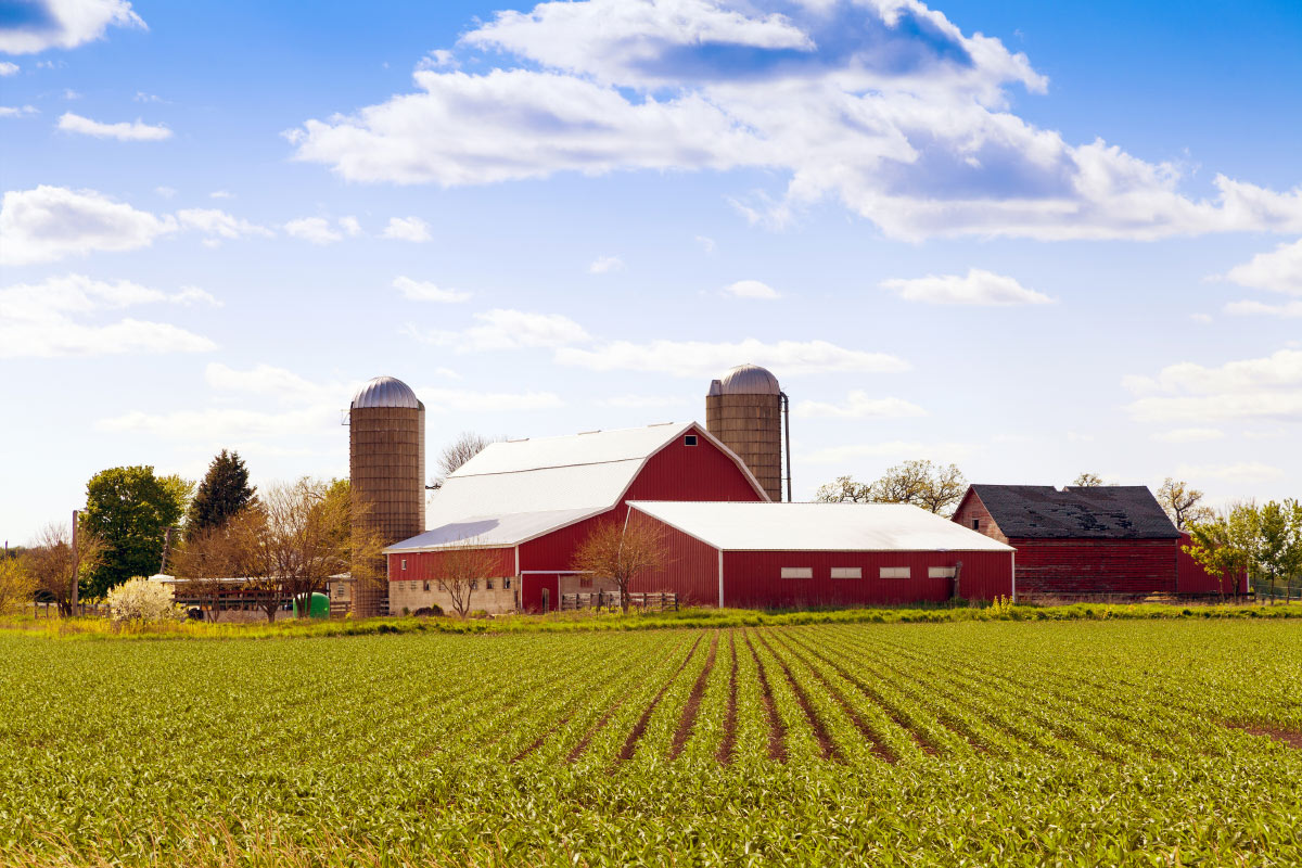 Water for Agriculture